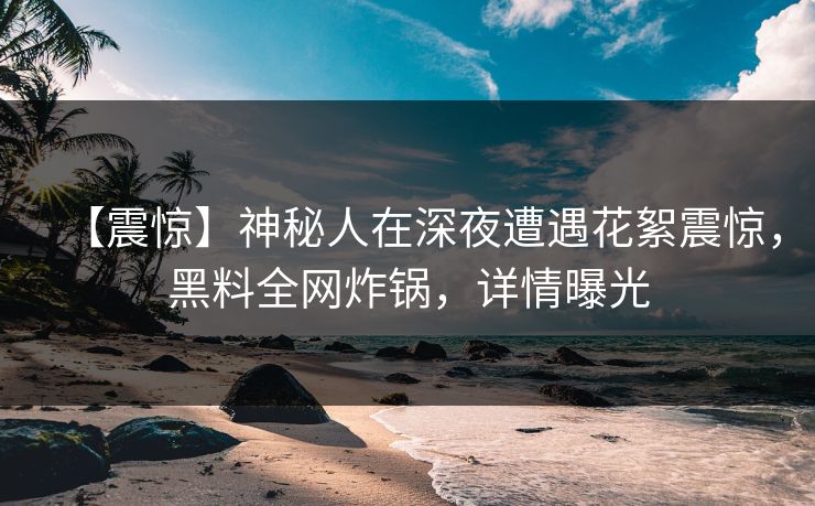 【震惊】神秘人在深夜遭遇花絮震惊，黑料全网炸锅，详情曝光